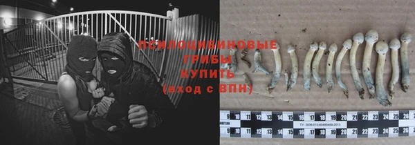 гашик Заводоуковск