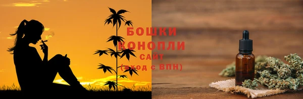 гашик Заводоуковск
