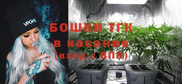 гашик Заводоуковск
