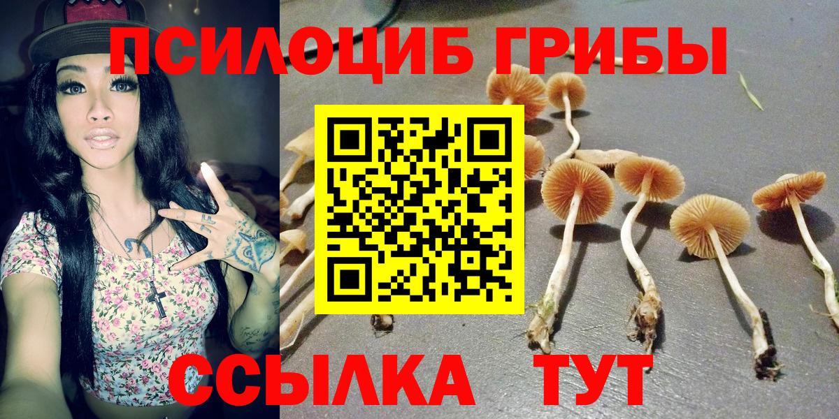 Псилоцибиновые грибы ЛСД  купить закладку  Пушкино  Вход с VPN 